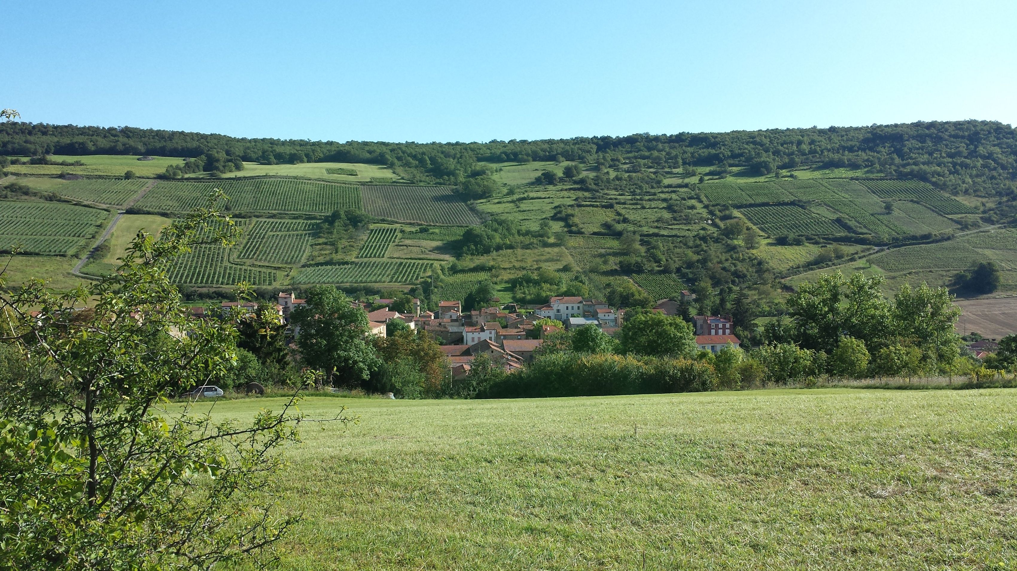 village de Boudes et ses vignes dans le Puy-de-Dôme