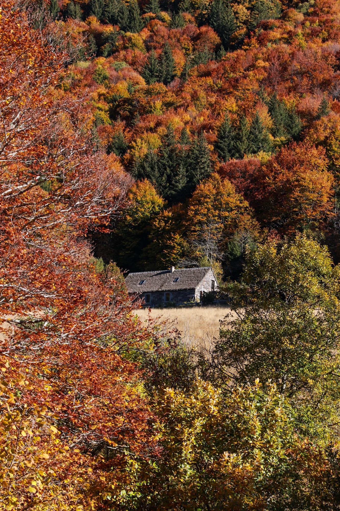 paysage d'automne du Cantal