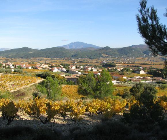 Sentier viticole et panoramique de Rasteau