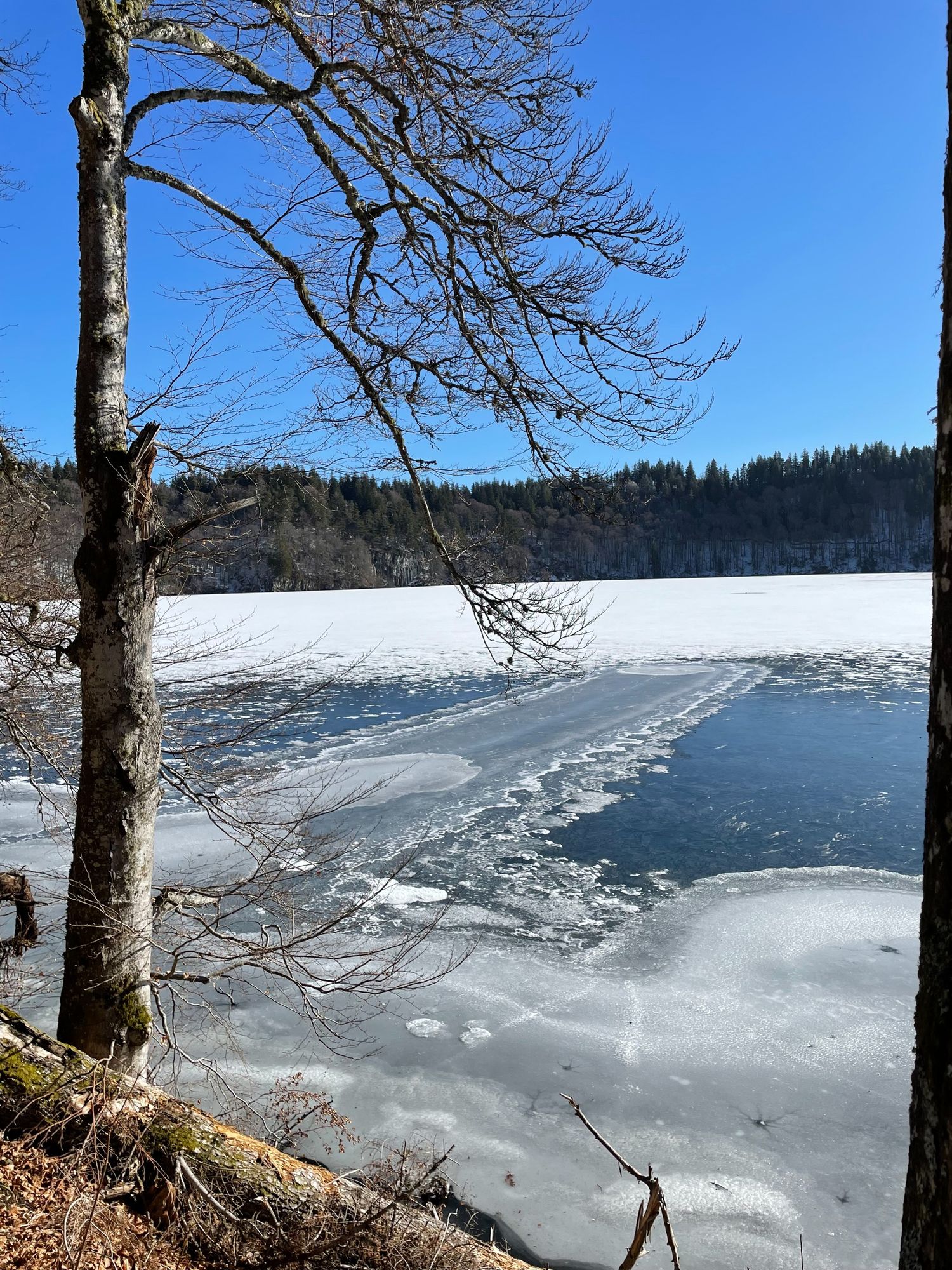 Lac Pavin gelé 