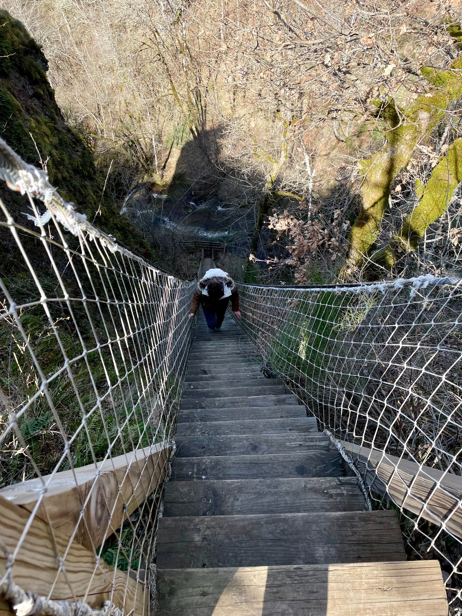 Escalier de la cascade de la Borie