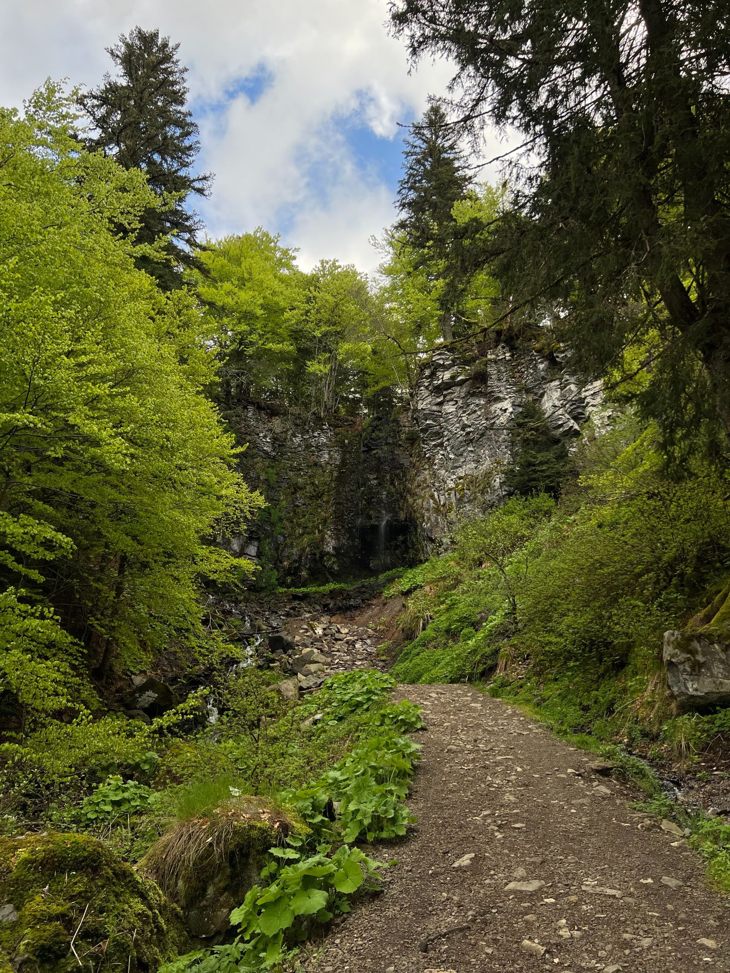 Cascade du Saut du Loup dans le Puy-De-Dôme