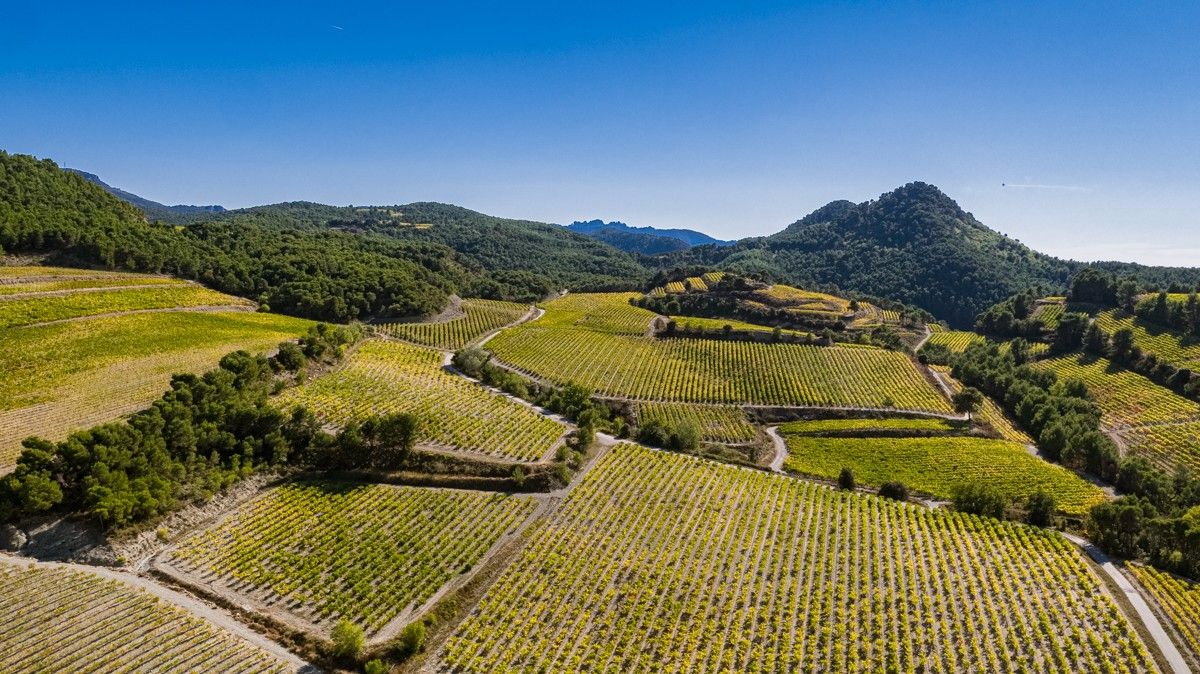 Vaison Ventoux Provence vue aérienne Dentelles de Montmirail