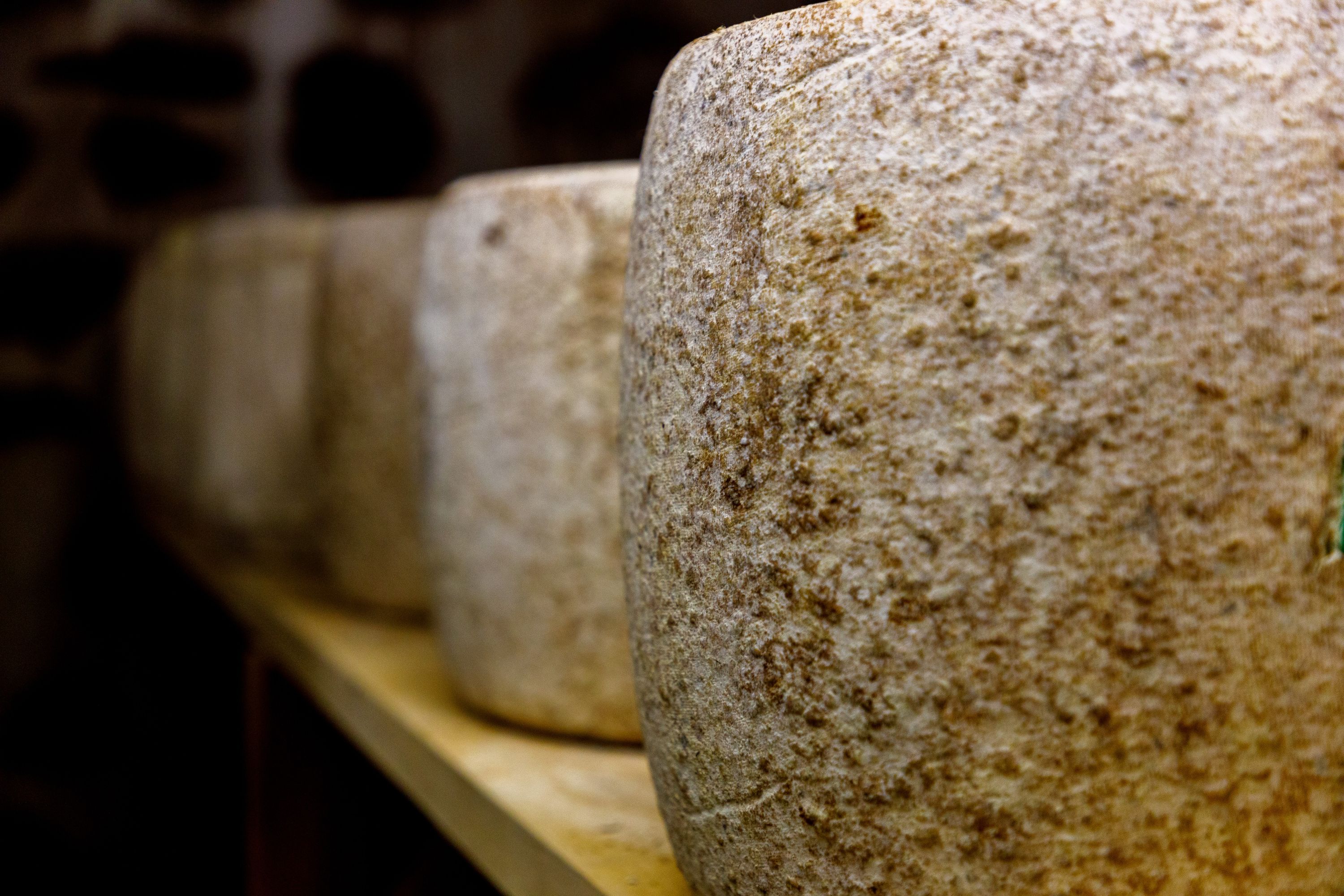 Fromages, cantal
