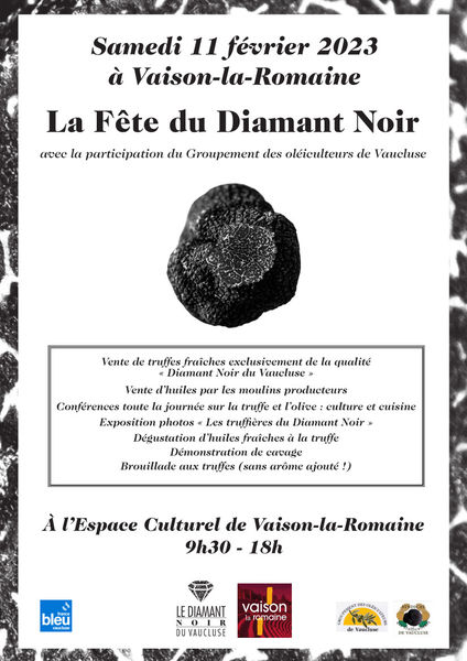 Questions truffes • Le diamant noir du Vaucluse